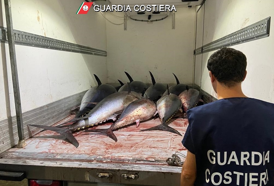 Sequestrati 1.500 chili di pesce senza tracciabilità