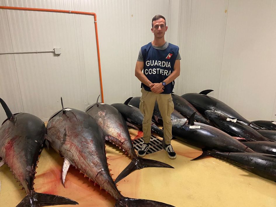 Sequestrati 2 quintali di tonno rosso