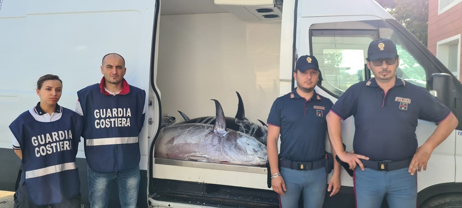 Tonno avariato sequestrato nel palermitano