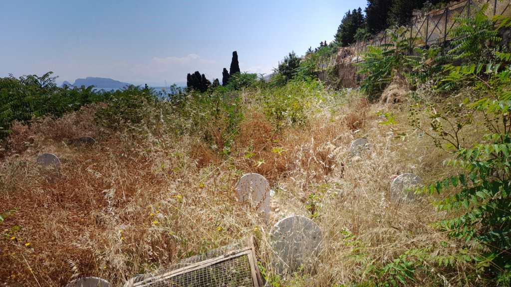 Cimitero dei Rotoli, erba alta nei campi d'inumazione