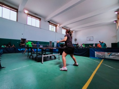 Tennis Tavolo Fisdir