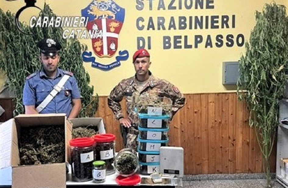 Scoperta coltivazione di droga con erba pregiata