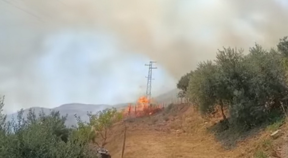 Continuano a bruciare le montagne di Montelepre