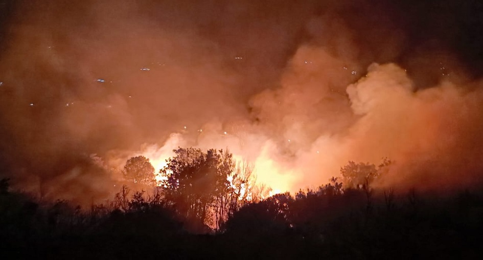 Incendio a sterpaglie e bosco a Piana degli Albanesi
