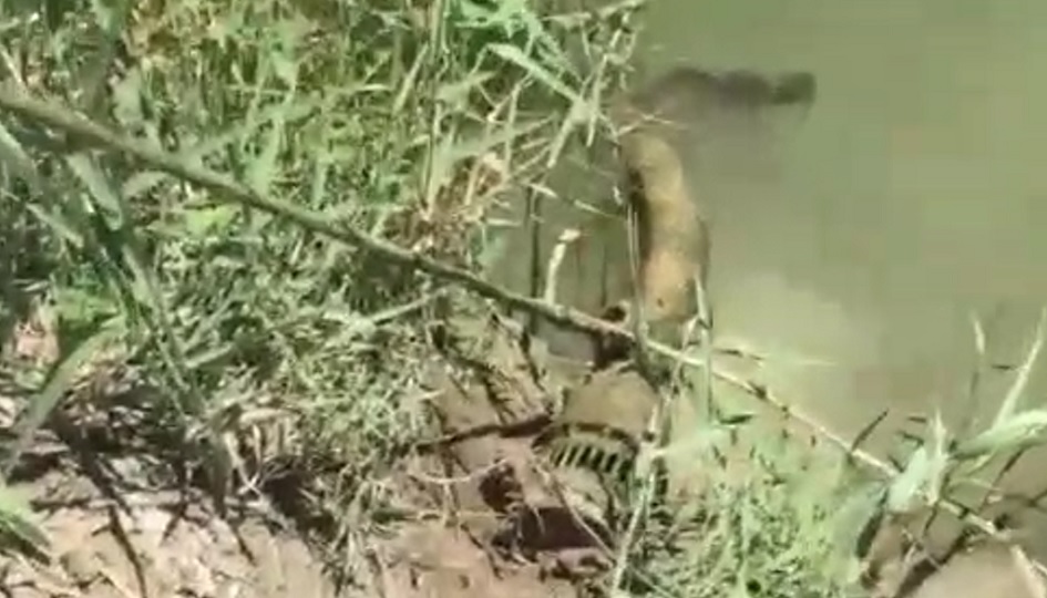 Furto di acqua scoperto e Ramacca