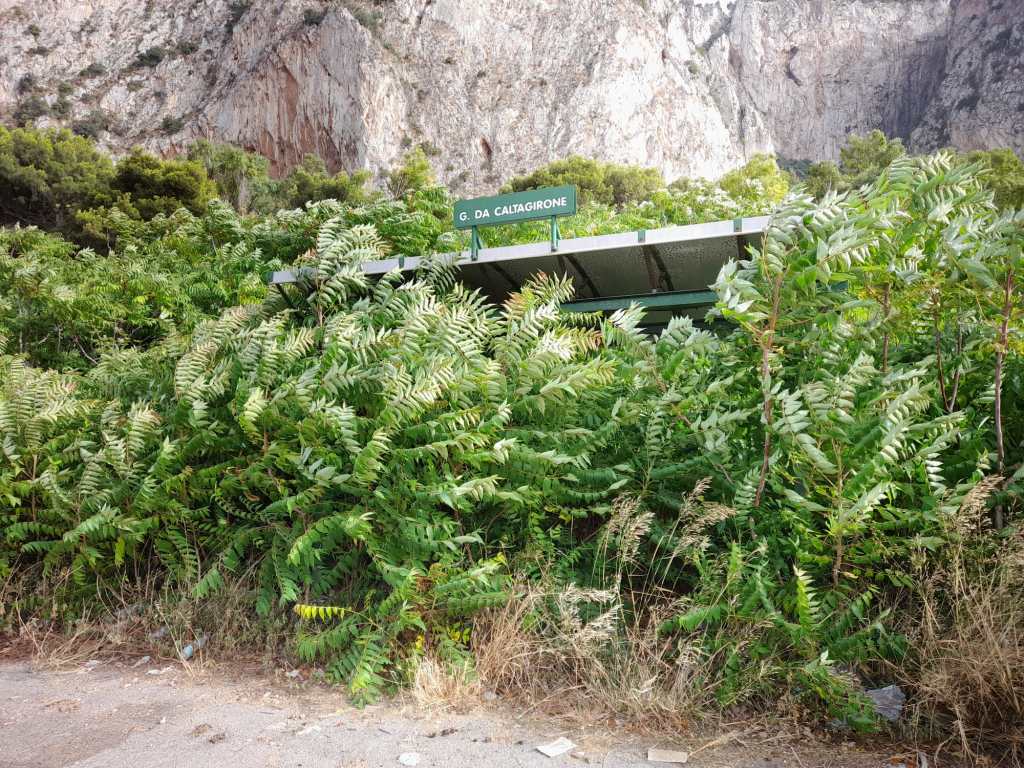 Fermata autobus via Gualtiero da Caltagirone, Addaura, Palermo