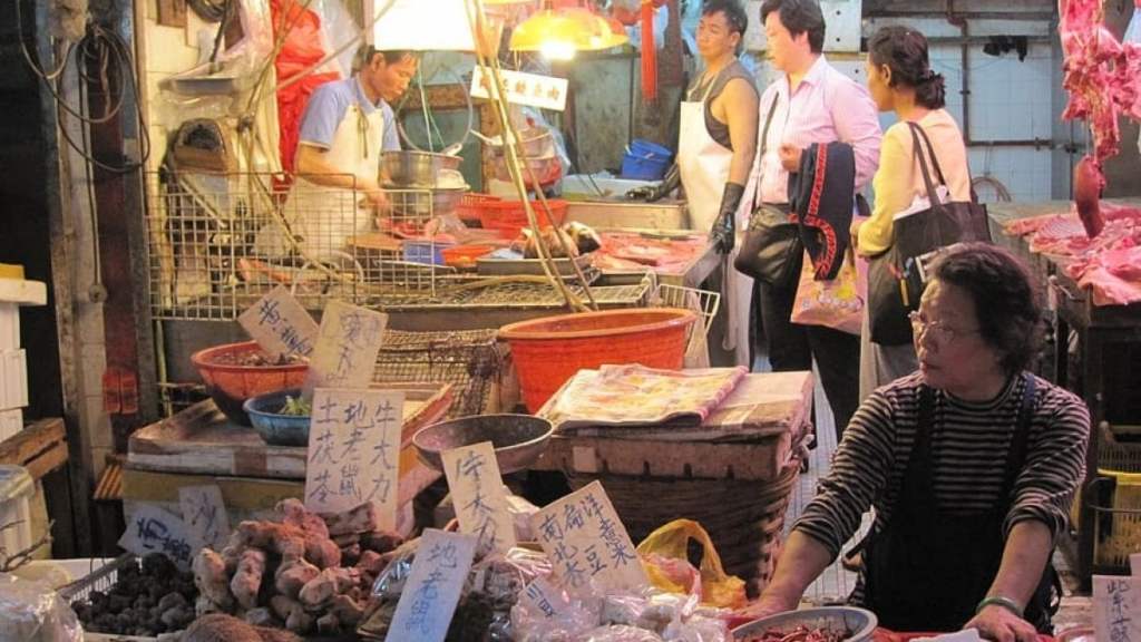 Mercato degli animali in Cina.