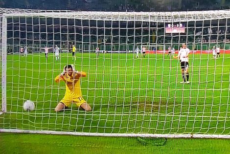 Palermo-Ascoli 2018-2019, la disperazione del portiere marchigiano Perucchini dopo l'autogol, la partita finirà 3-0 per i rosanero