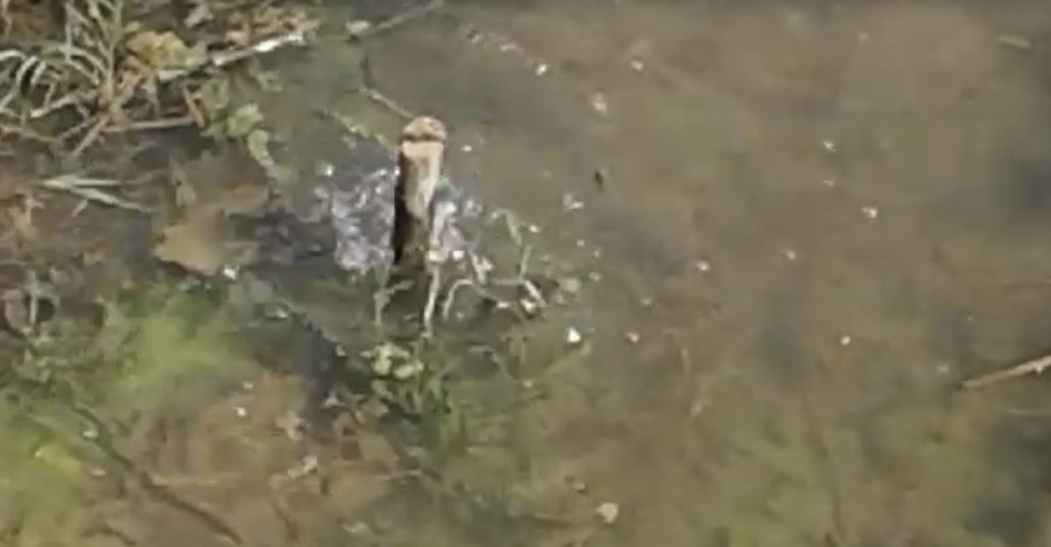 Condotte obsolete per l'agricoltura del Partinicese