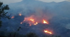 Incendi in Sicilia, avviata la class action, “Regione assente a mediazione”