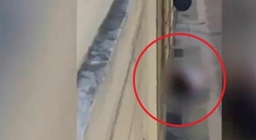 Violenza sessuale a Piacenza.