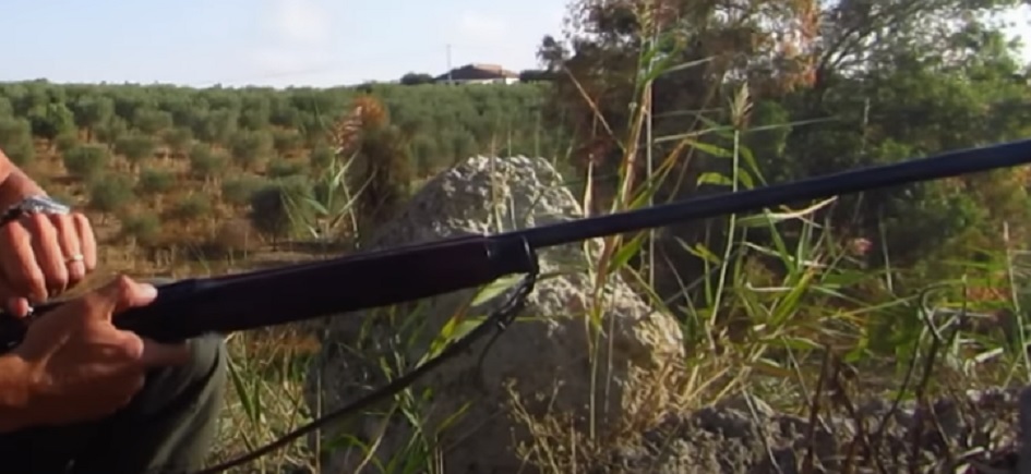 Dal tar stop alla caccia alle tortore