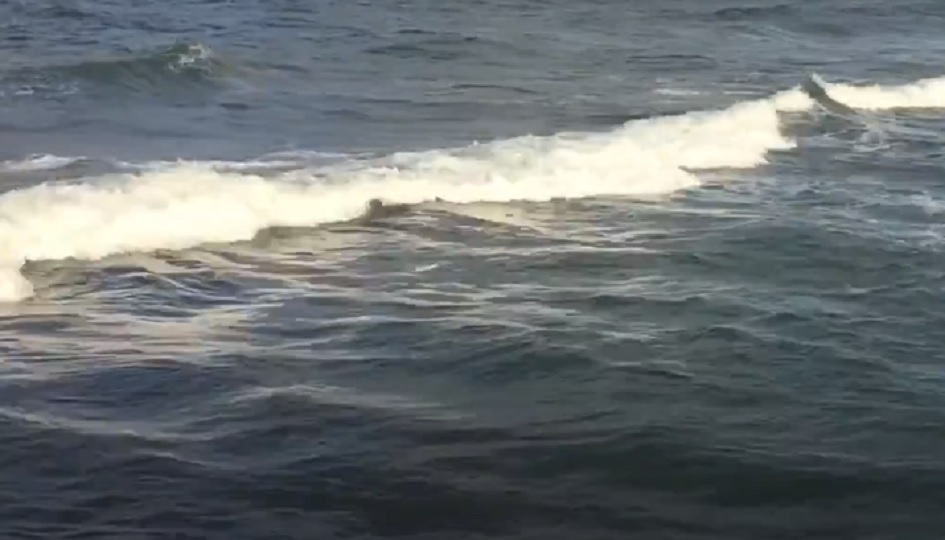 Carabiniere salva donna che rischia di annegare a mare