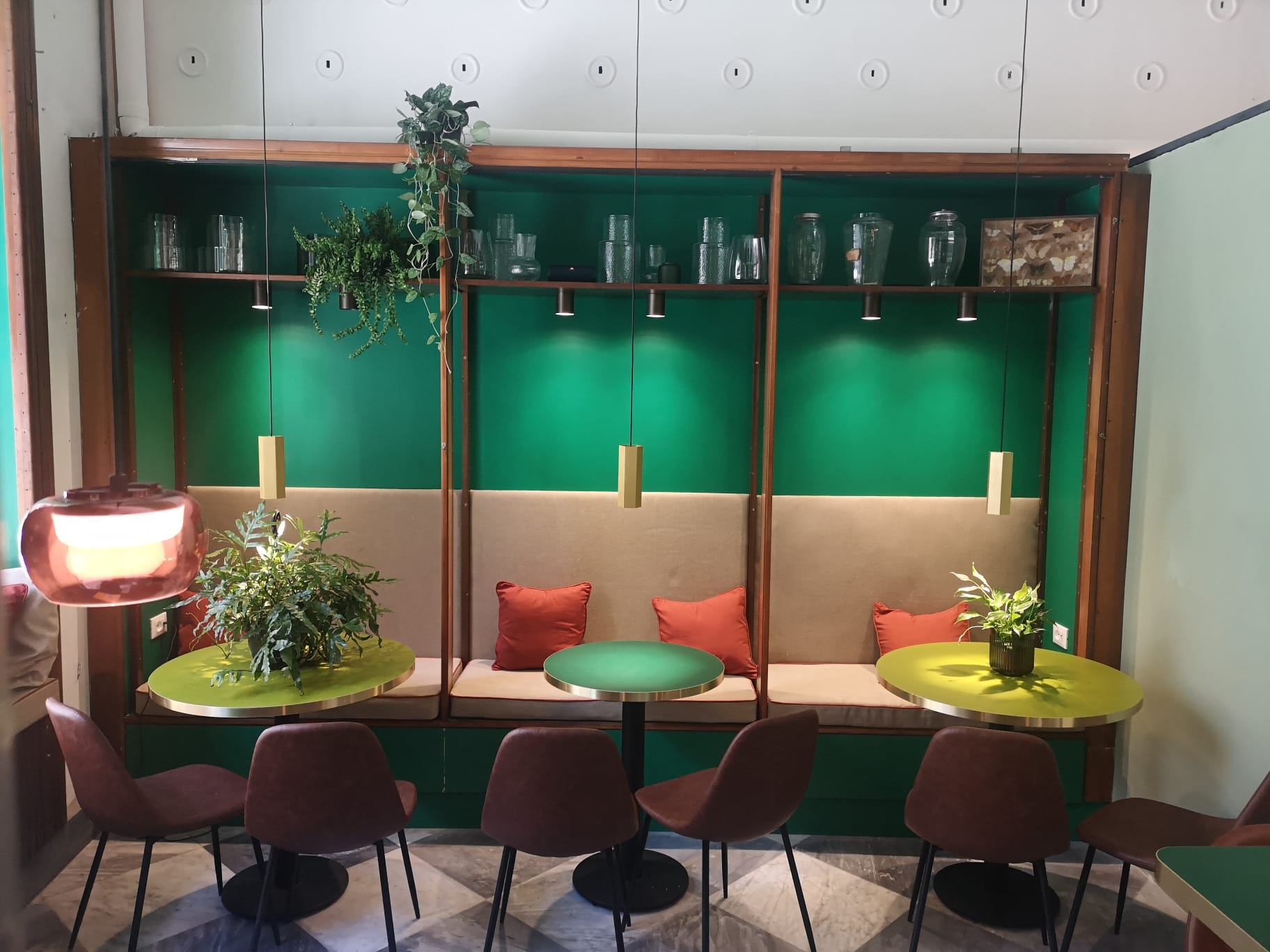 Radici -Piccolo Museo della Natura