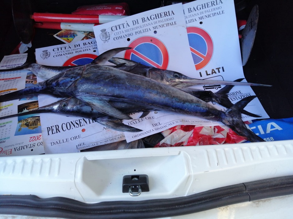 multe-ai-locali-della-movida-e-sequestri-di-pesce-a-bagheria