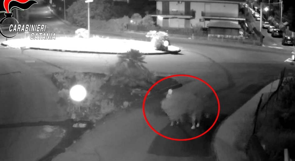 I furti per alimentare il bando al mercato delle pulci di Tomasello