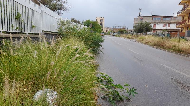 Erbacce e degrado nella borgata marinara di Sferracavallo, la denuncia