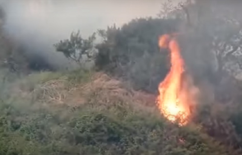 Approvato a Bagheria catasto incendi contro piromani e speculatori