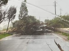 Maltempo a Siracusa, alberi abbattuti, strade bloccate, allagamenti, “restate a casa”
