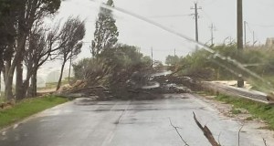 Maltempo a Siracusa, alberi abbattuti, strade bloccate, allagamenti, “restate a casa”