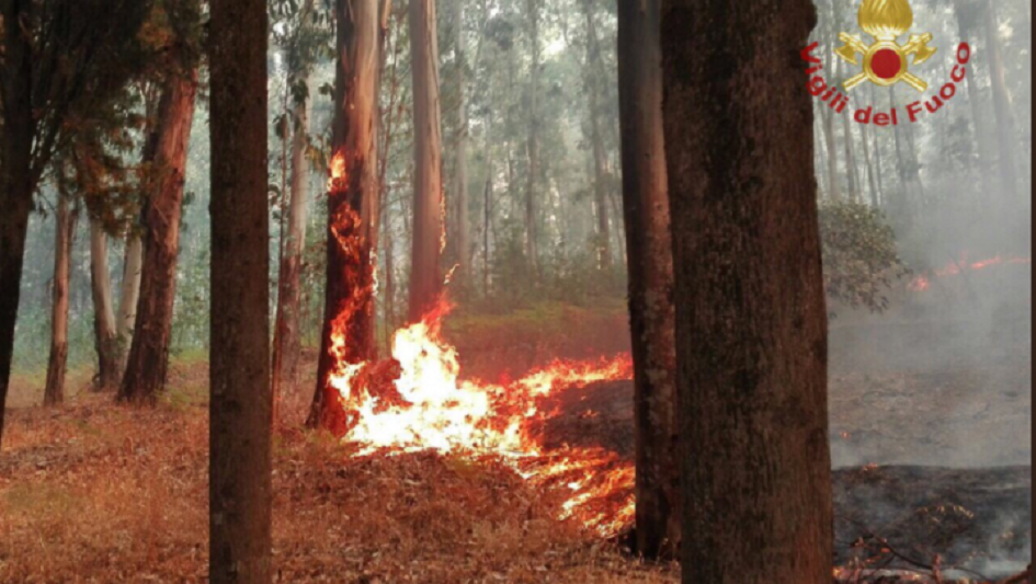 Condannato l'incendiario che appiccò le fiamme alla riserva Rossomanno