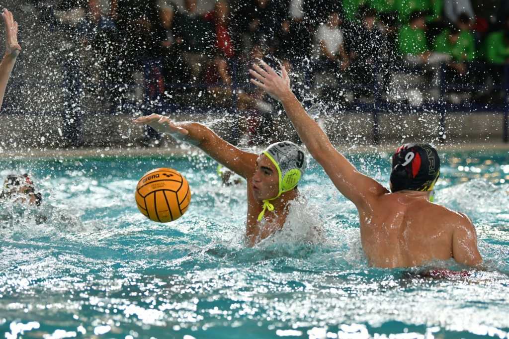 Francesco Condemi, Ortigia