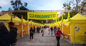 Coldiretti sul bando conteso in Agricoltura: “Basta polemiche ed evitare rinvii”