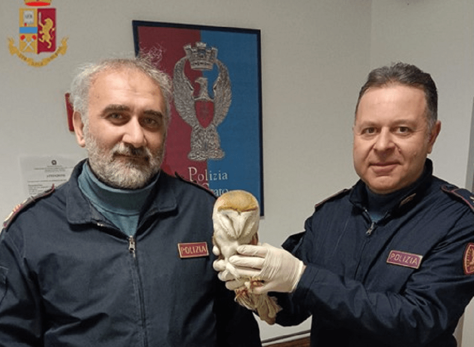 Un barbagianni è stato salvato dalla polizia alla stazione ferroviaria di Catania, era ferito e rischiava di essere travolto sui binari