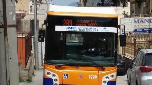 Linea 209 Palermo, bus Amat