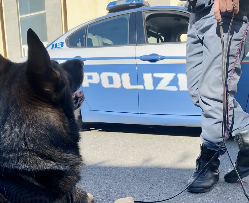 Il cane poliziotto in azione nel Messinese, scoperta droga tra cassetti e scarpiera di un noto pregiudicato con precedenti specifici