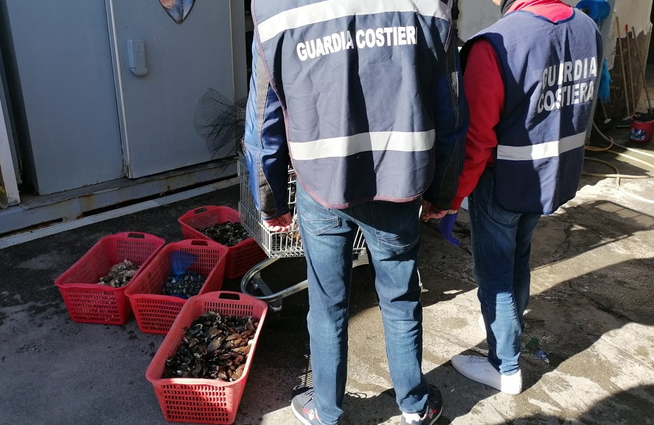 Crostacei sequestrati a Palermo in un vivaio e ad ambulanti, non avevano la regolare documentazione che attestava la tracciabilità