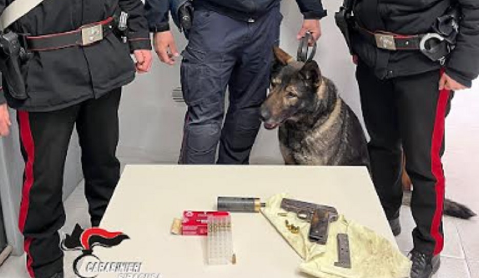 Il cane dei carabinieri di Siracusa
