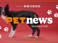 PetNews Magazine – 21/3/2023