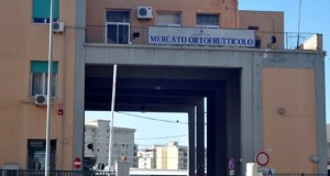 Dramma al mercato ortofrutticolo, muore guardia giurata del Coime