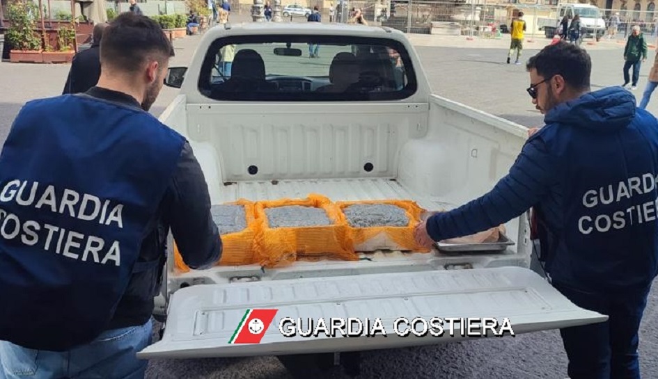 Pescati irregolarmente tonno e novellame di sarda, operazioni della guardia costiera tra Catania città e provincia