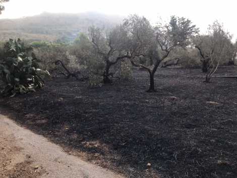 Incendio Gibilrossa 2022