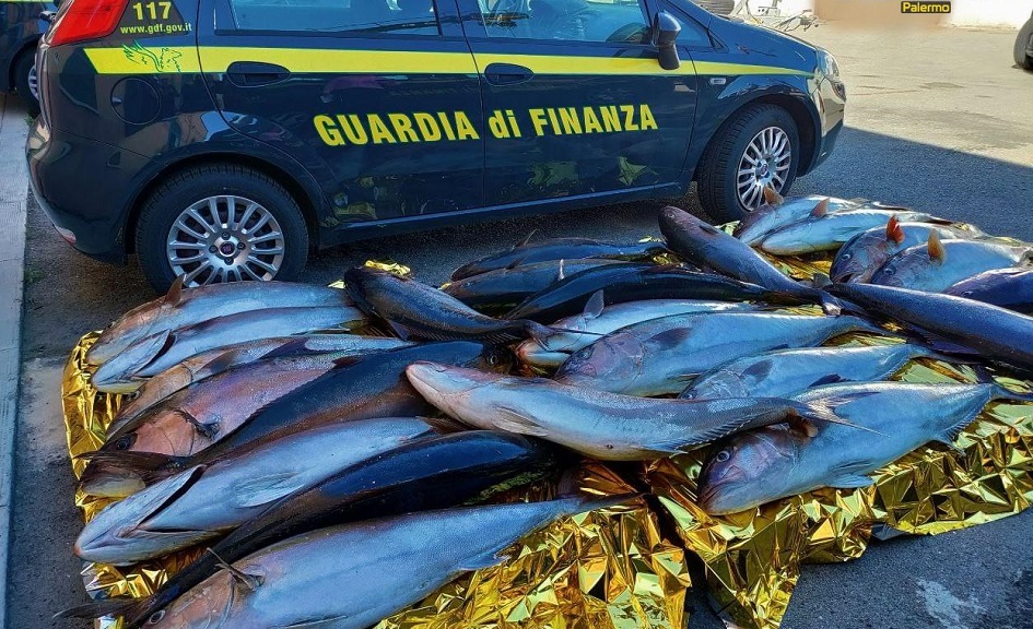 Beccato nell’area marina protetta di Capo Gallo un pescatore di frodo, aveva pescato ben 600 chili di ricciola
