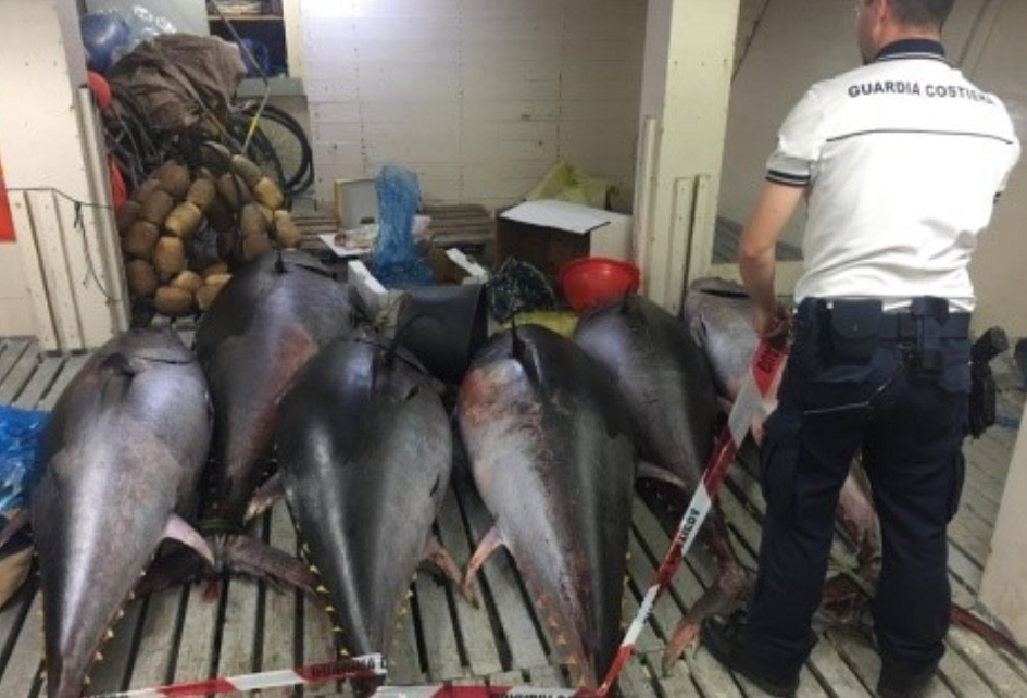 Operazione della capitaneria nel Trapanese, scovato un grande carico di tonno rosso proveniente da Porticello e destinato a Trapani