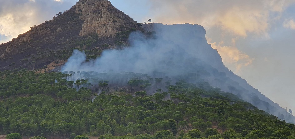 Brucia ancora il bosco nella zona di Altofonte per il terzo giorno consecutivo, arrivati all’alba elicottero e canadair