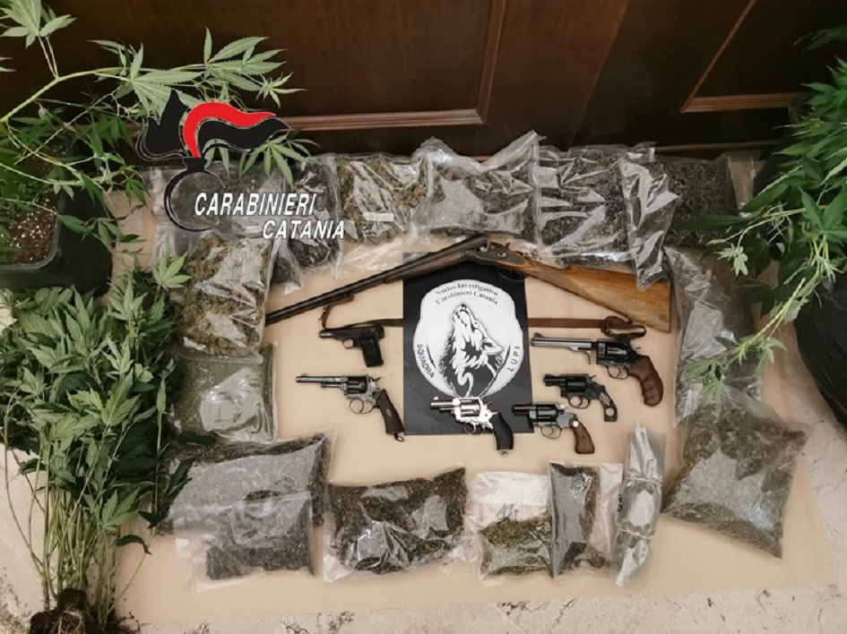 Operazione dei carabinieri nel catanese, scoperta piantagione e arsenale di armi in una casa, scatta un arresto
