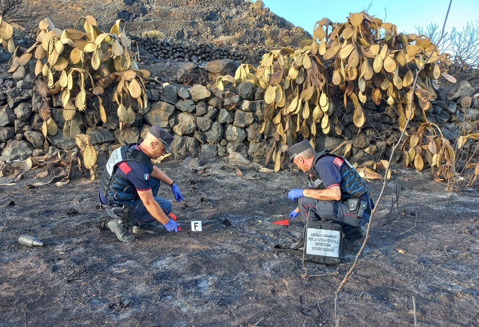 Un agricoltore denunciato dai carabinieri forestali nel Trapanese per aver provocato un incendio all’interno del parco nazionale