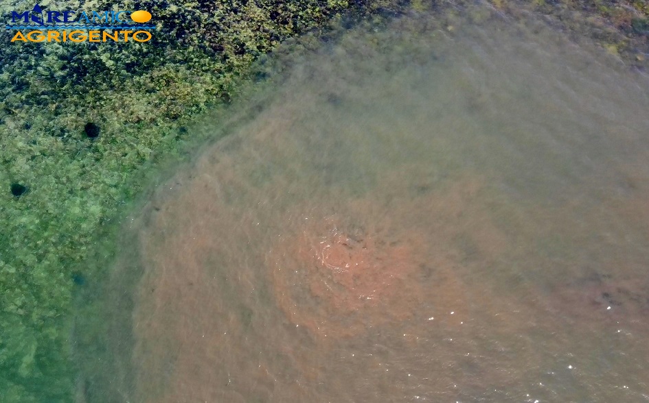 Liquami nel mare dell’Agrigentino a pochi metri dalla riva, gli ambientalisti di Mareamico scoprono una condotta scoppiata