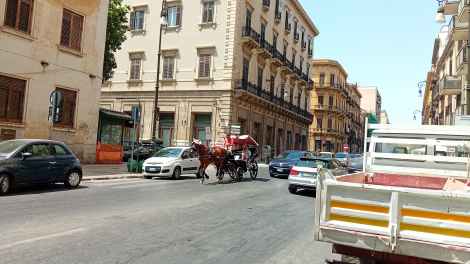 Carrozza cavalli in giro a 40 gradi, via Cavour