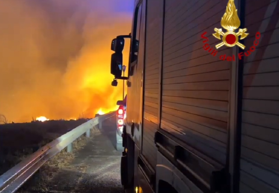 Altra notte di fuoco in Sicilia, la pineta della riserva nel Trapanese distrutta, fiamme anche nel Palermitano e Catanese