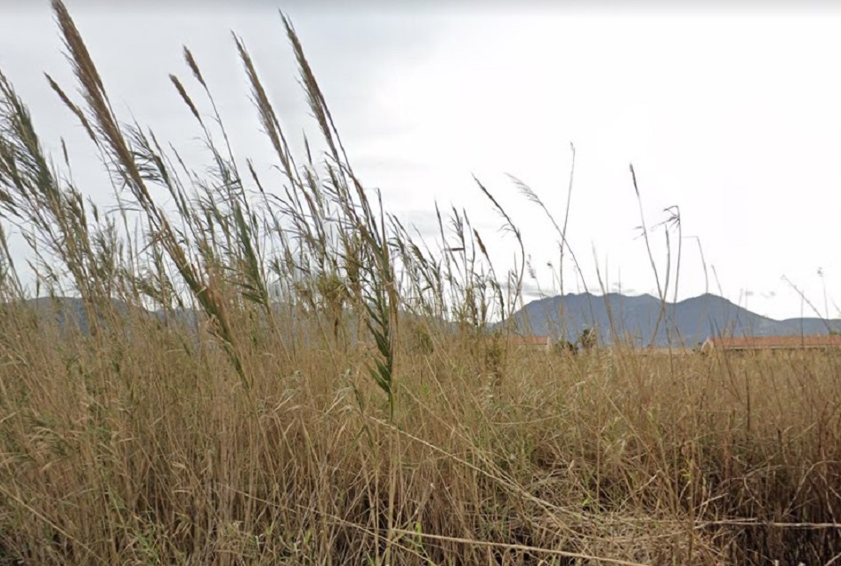 A Carini tre proprietari di terreni lasciati incolti sono stati denunciati perché inadempienti, a breve altri controlli a tappeto