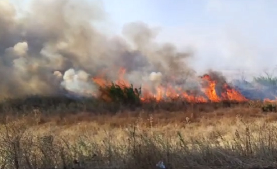 Ancora un incendio colpisce la riserva dell’Oasi del Simeto, i soccorsi antincendio evitano una strage di vegetazione