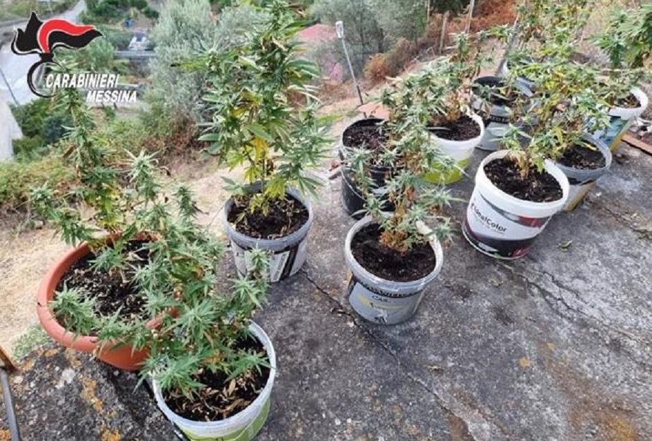 I carabinieri arrestano un pusher nel Messinese con diversi piante di marijuana, pedinati i tossicodipendenti per incastrarlo