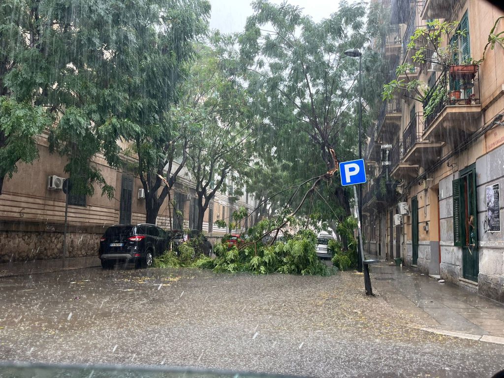 Maltempo, albero crollato in via Filippo Corazza, Palermo