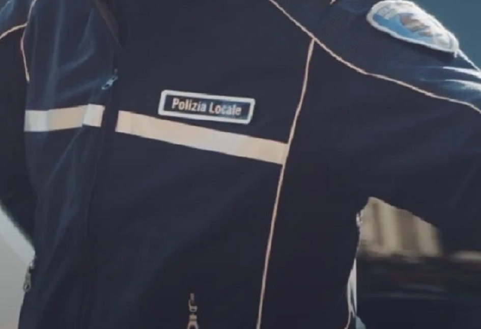 Un albero è caduto in centro a Palermo, si tratta di un grosso esemplare di Ficus il cui tronco si è spezzato dalla base