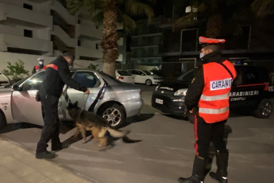Il cane antidroga scova il giovane spacciatore del rione San Paolo di Messina, in casa trovato stupefacente del tipo skunk